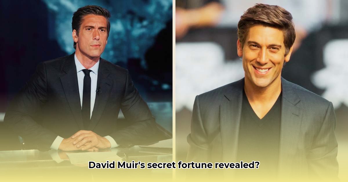 net-worth-david-muir